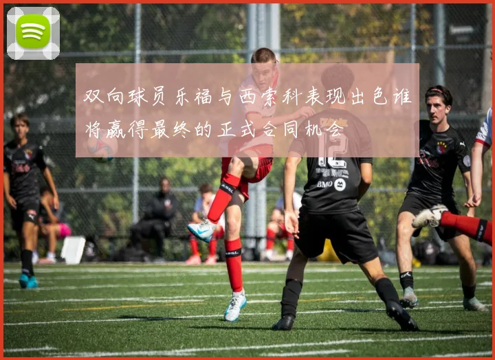 双向球员乐福与西索科表现出色谁将赢得最终的正式合同机会