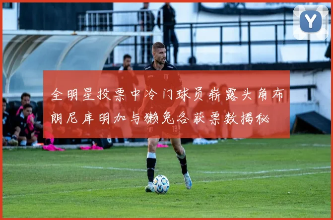 全明星投票中冷门球员崭露头角布朗尼库明加与獭兔各获票数揭秘