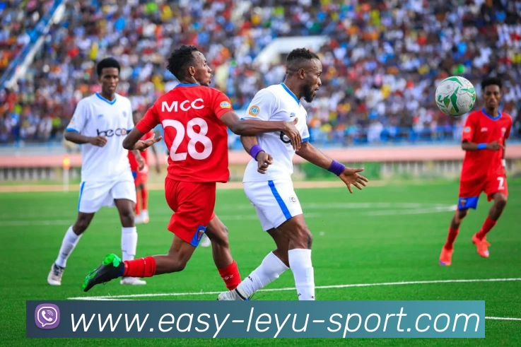 App Interface Preview